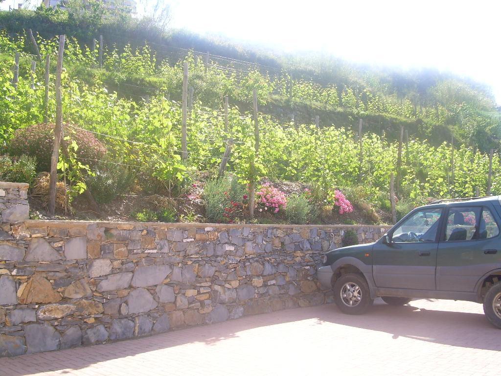 Ariabuona Apartment Moneglia Exterior photo