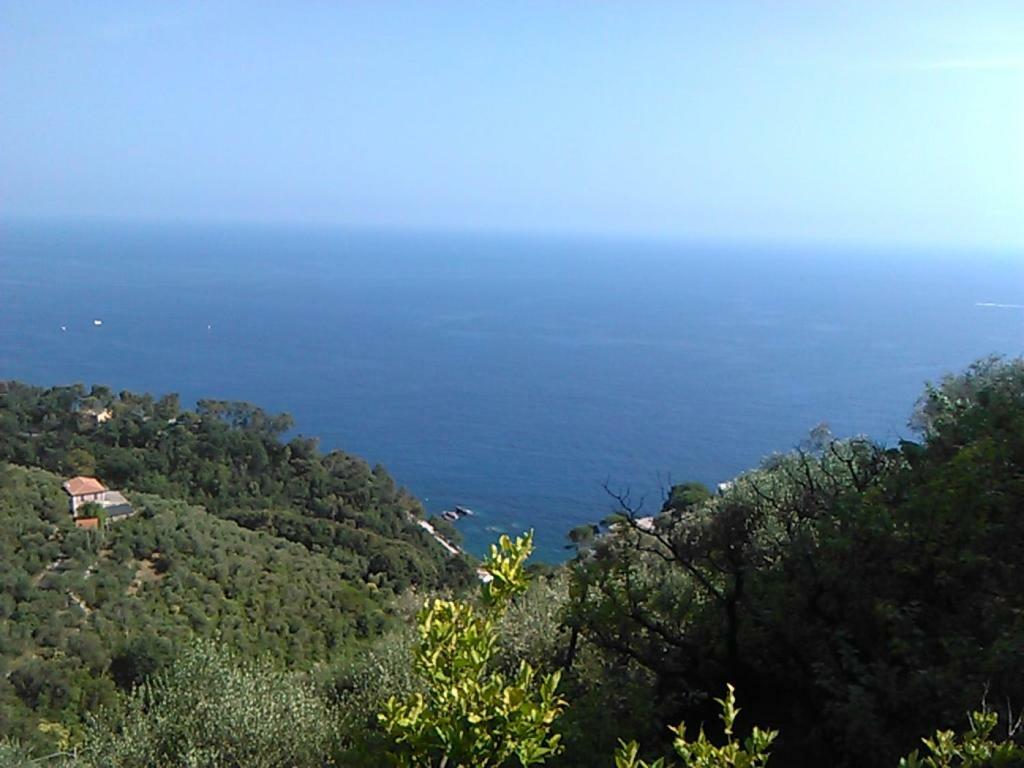 Ariabuona Apartment Moneglia Exterior photo
